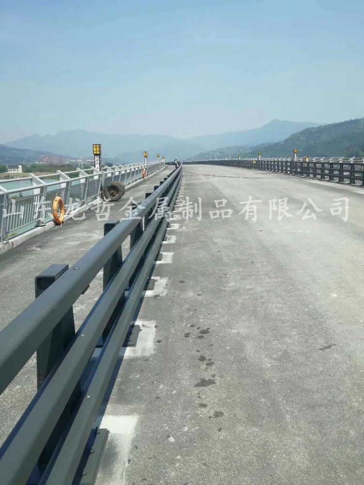 溫州瑞安防撞護欄案例